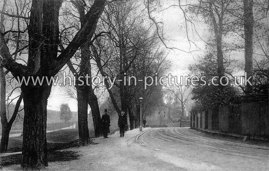 Hampstead Heath, London. c.1906